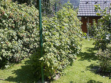 Gartenfotos Online gartenfotos-online