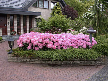 Gartenfotos online